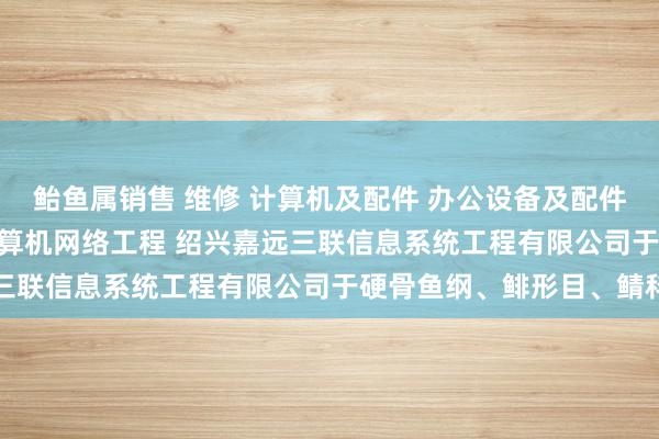 鲐鱼属销售 维修 计算机及配件 办公设备及配件 通讯设备 电子产品 计算机网络工程 绍兴嘉远三联信息系统工程有限公司于硬骨鱼纲、鲱形目、鲭科